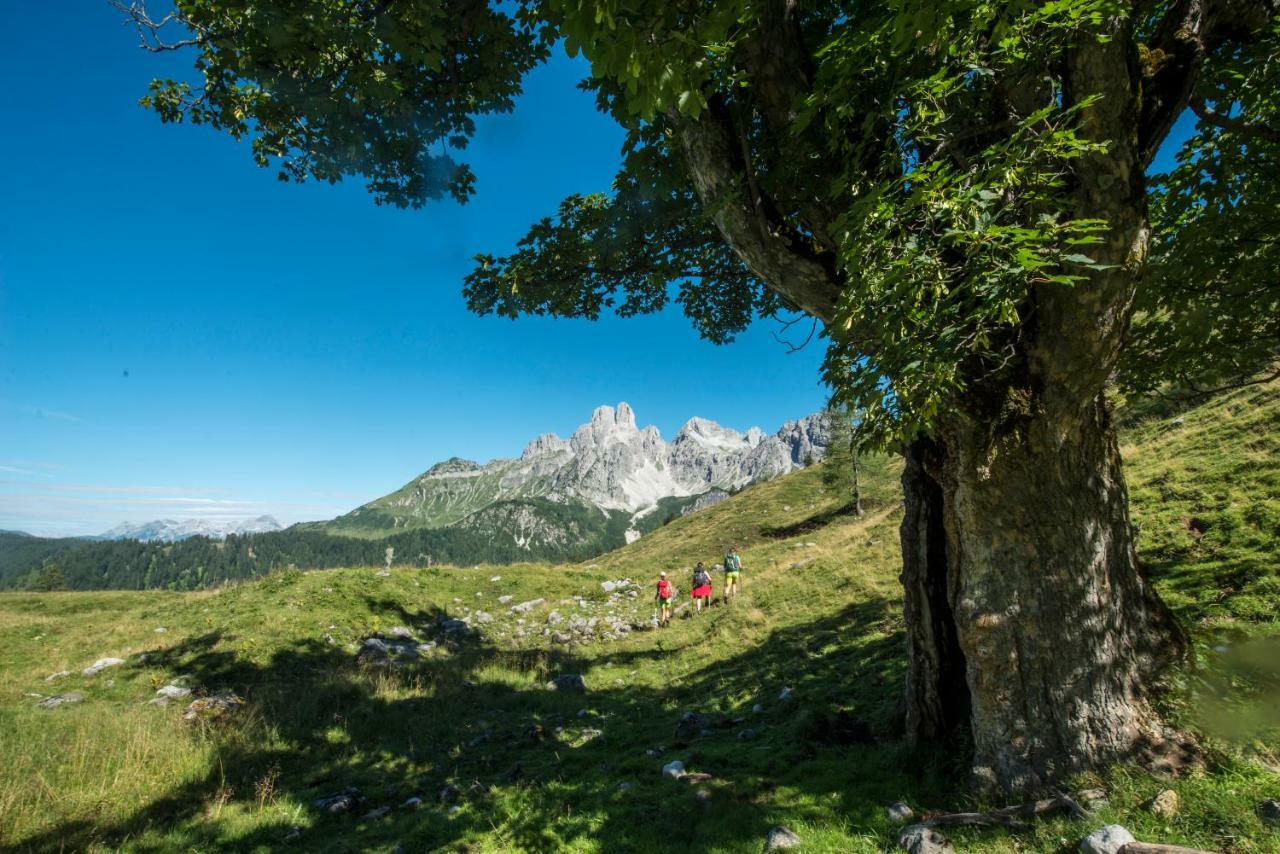 Meizeit Lodge Filzmoos Buitenkant foto