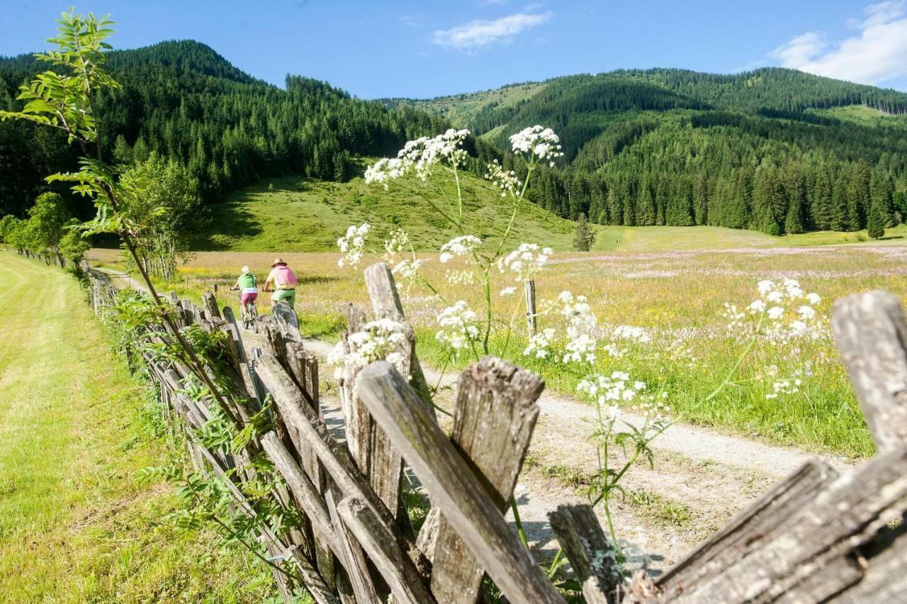 Meizeit Lodge Filzmoos Buitenkant foto